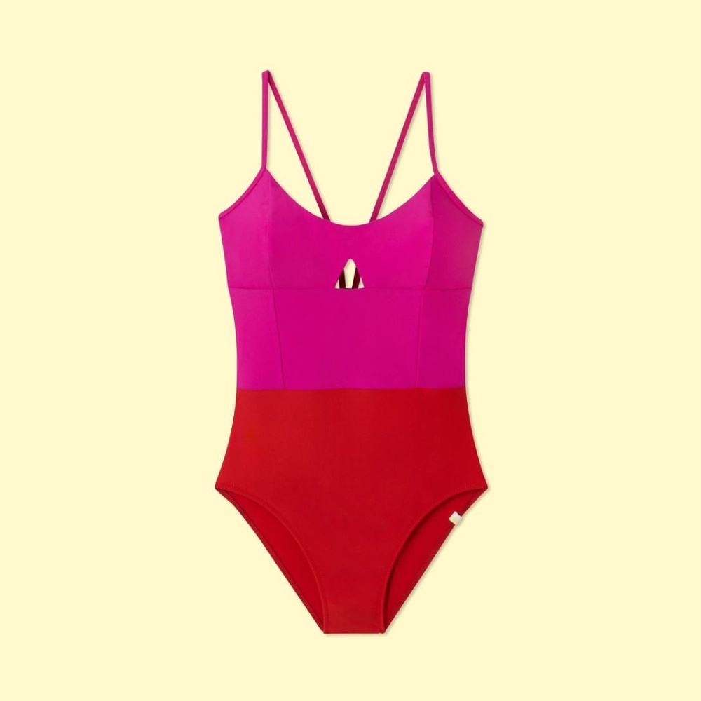 Summersalt Swimsuit- The Swan Dive